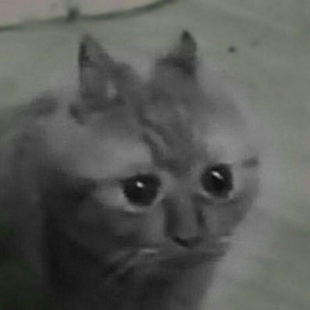 лого группы