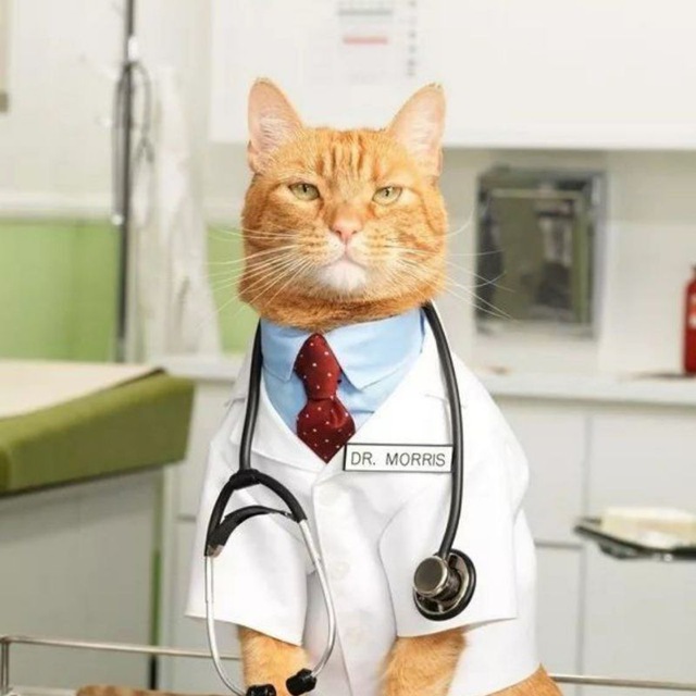 лого группы