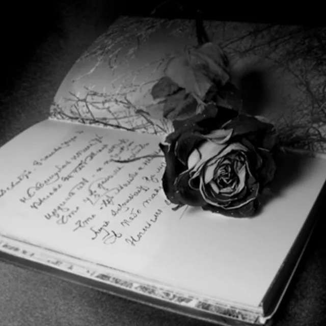 лого канала